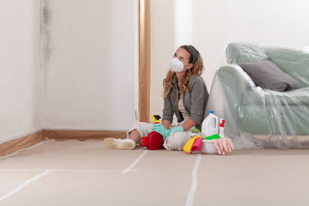 Reliable Mold Cleanup contractor in Dedham, MA by Cheap Mold Removal